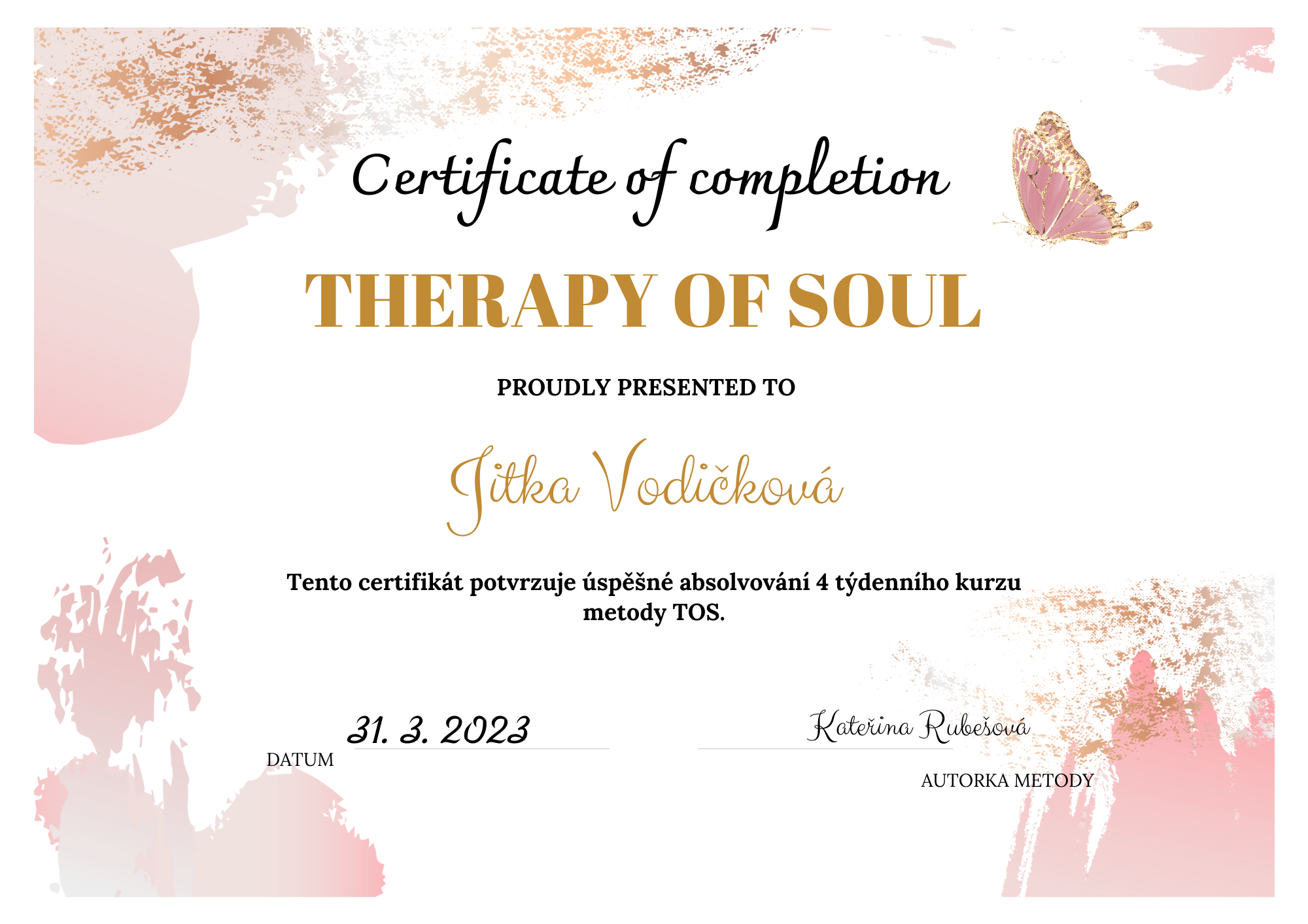 Certifikát Therapy of Soul